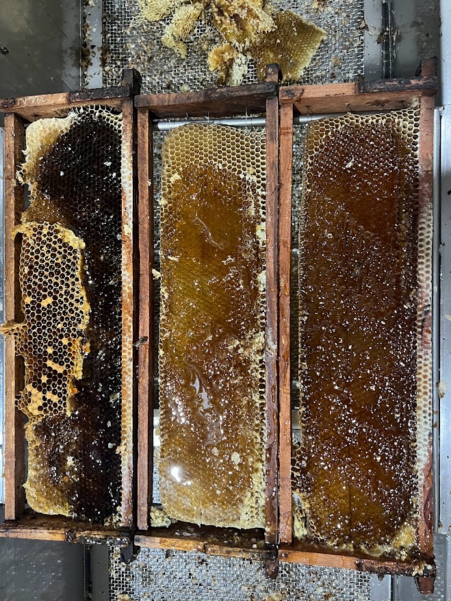 Miel de Abeja. 500ml. 100% Natural.